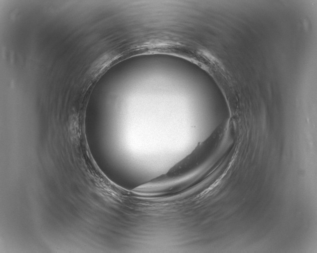 X0000059791353200510211106