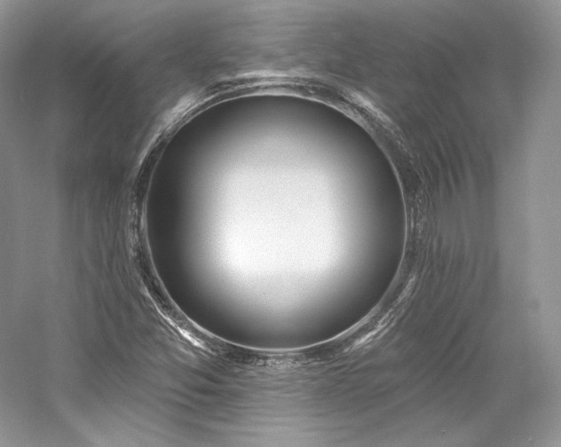 X0000059791357200510211106