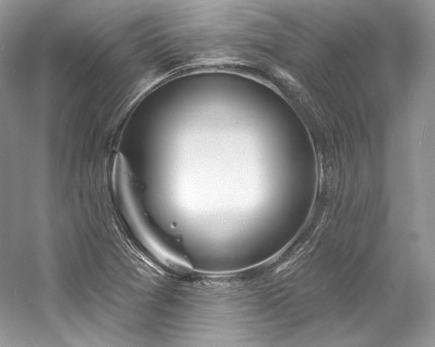 X0000059791361200510211106