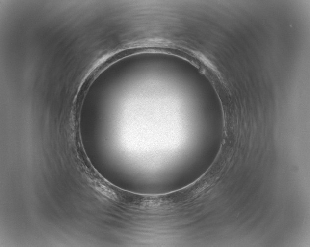 X0000059791364200510211106