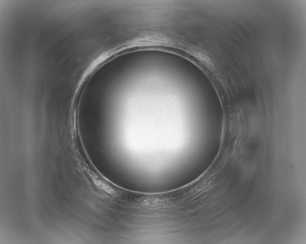 X0000059791366200510211106