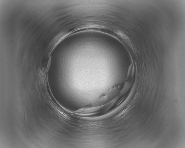 X0000059791369200510211106