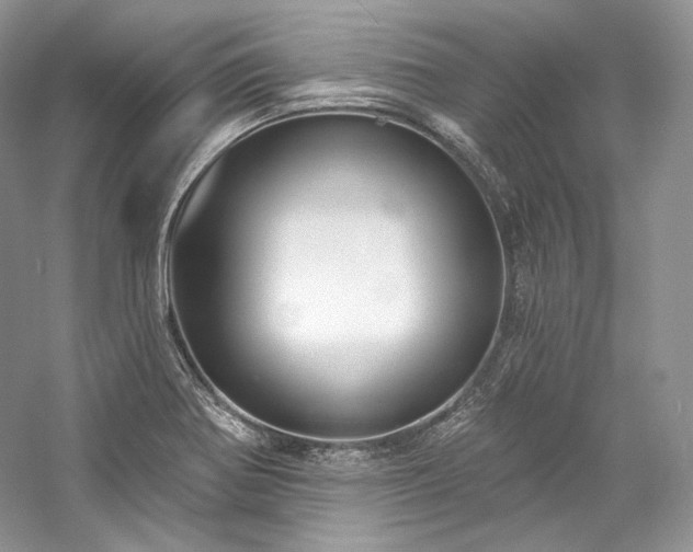X0000059791370200510211106