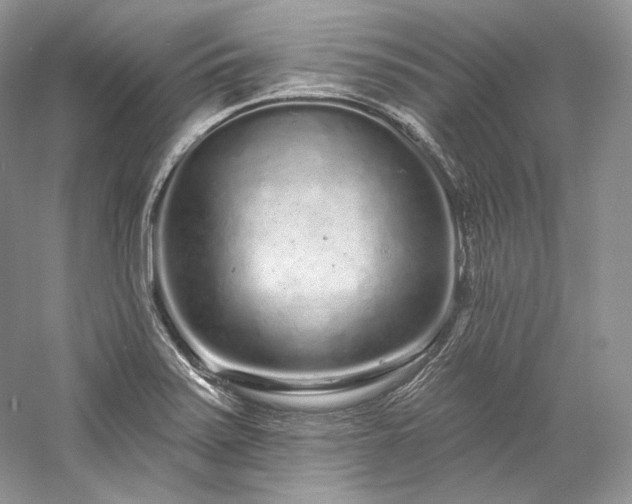 X0000059791371200510211106