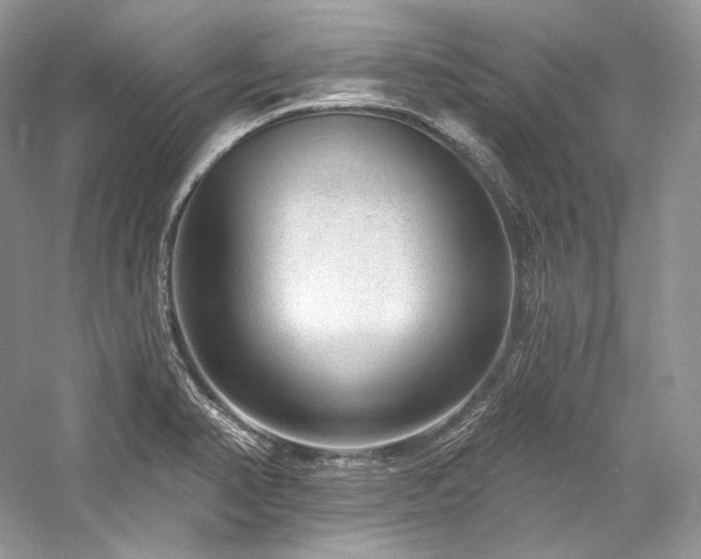 X0000059791374200510211106