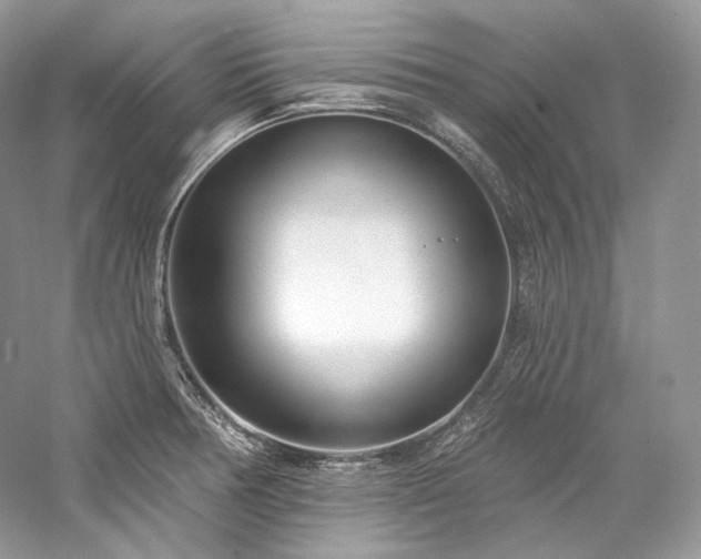 X0000059791378200510211106