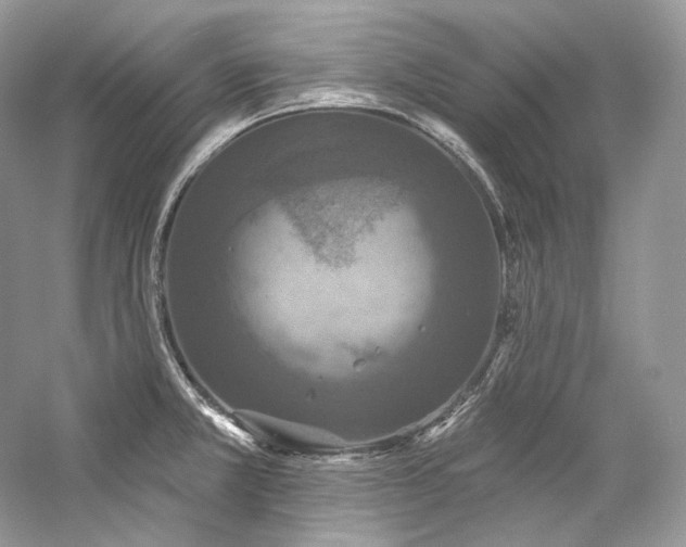 X0000059791381200510211106