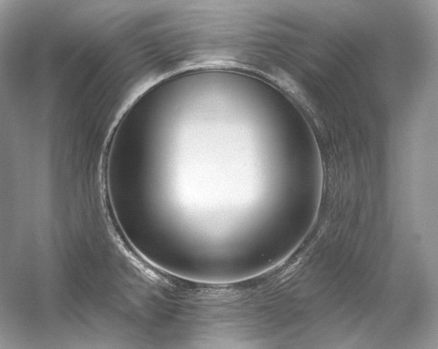 X0000059791382200510211106