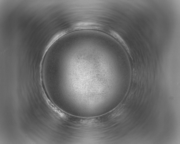 X0000059791386200510211106