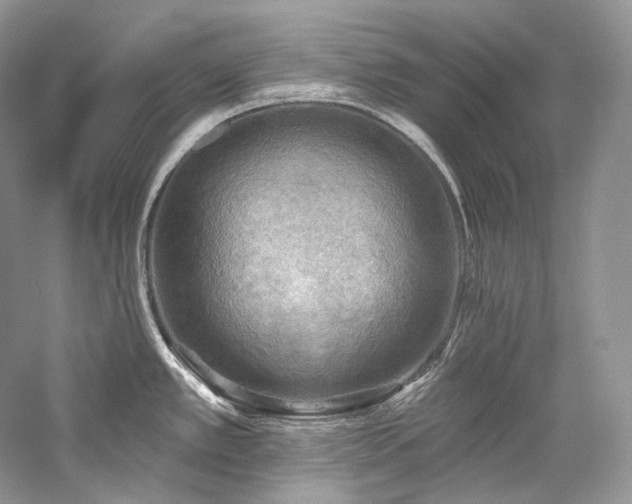 X0000059791389200510211106