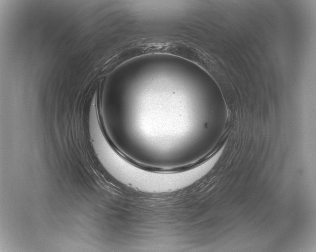 X0000059791394200510211105