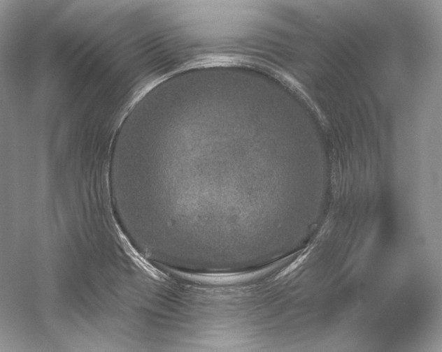 X0000059791417200510211105
