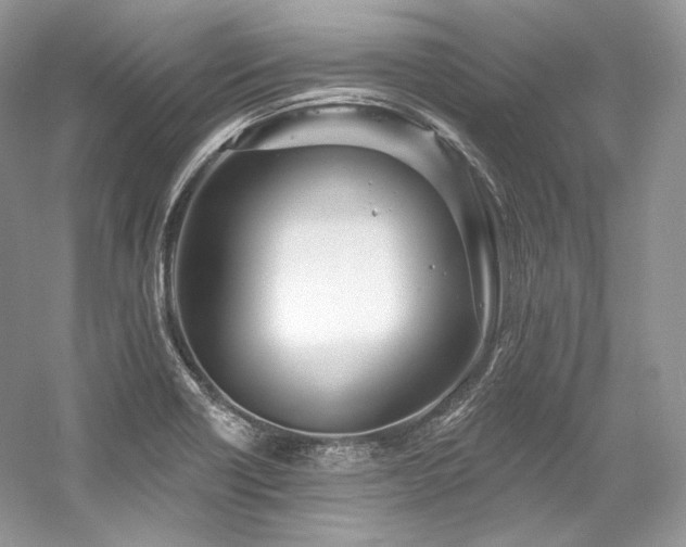 X0000059791418200510211105