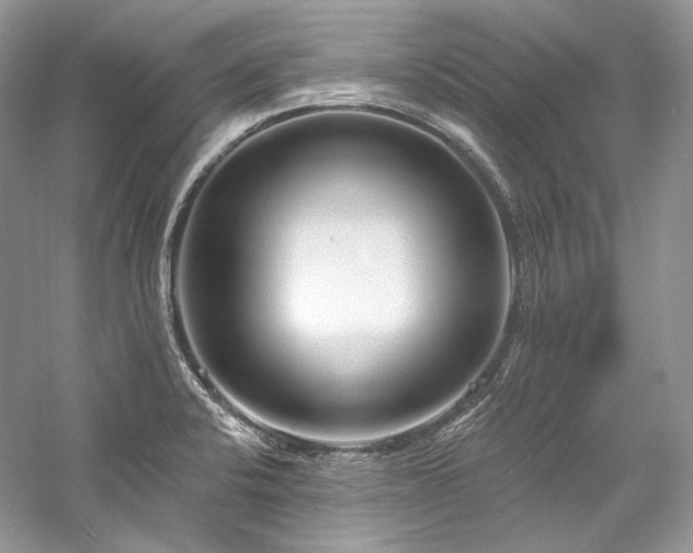 X0000059791424200510211105