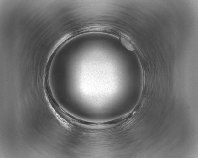 X0000059791426200510211105