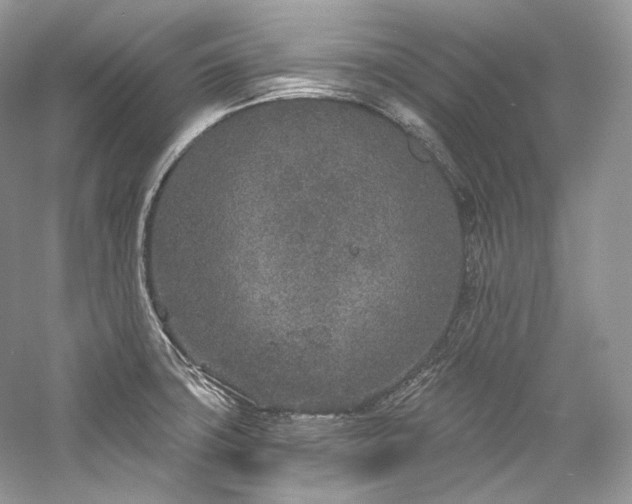 X0000059791427200510211105
