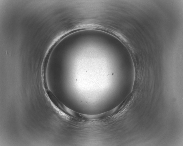 X0000059791430200510211105
