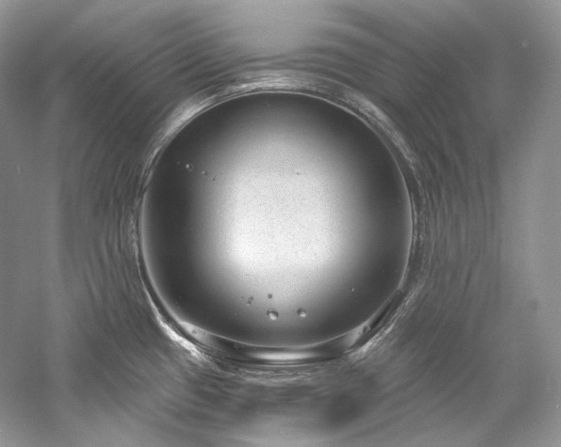 X0000059791433200510211105