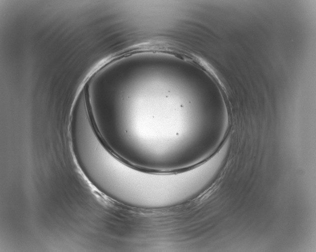 X0000059791434200510211105