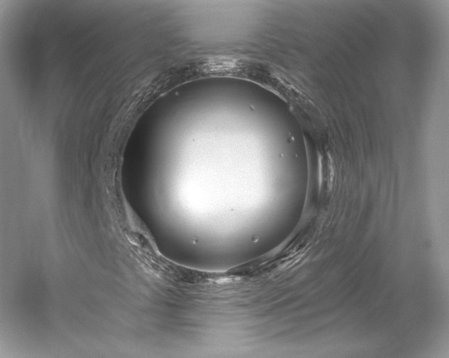 X0000059791441200510211105