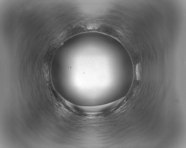 X0000059791443200510211105