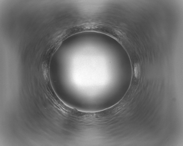 X0000059791444200510211105