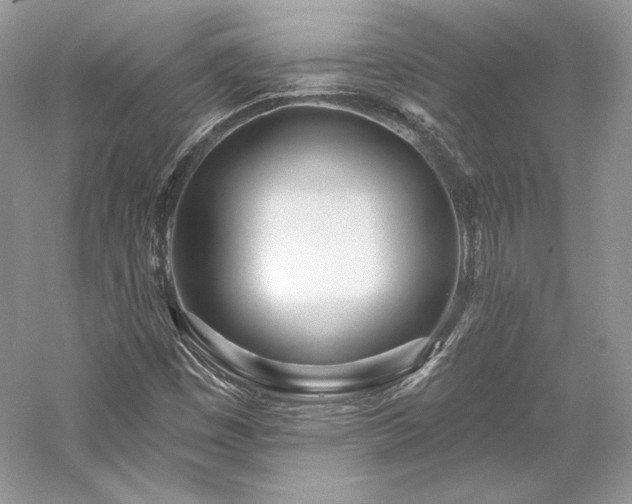 X0000059791449200510211104