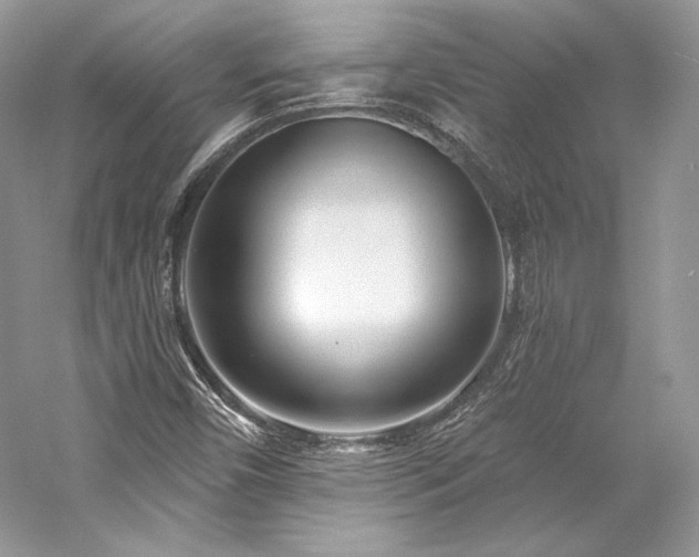 X0000059791450200510211104