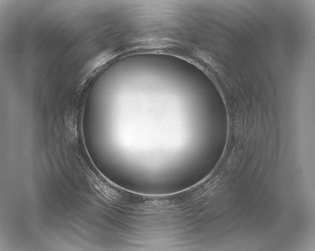 X0000059791451200510211104