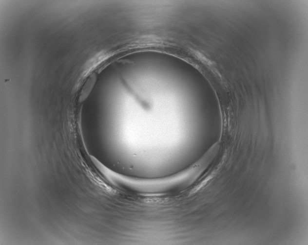 X0000059791453200510211104
