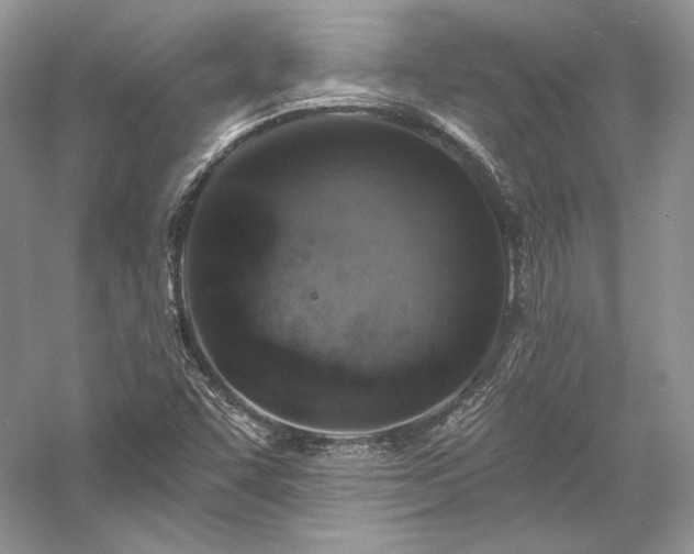 X0000059791455200510211104