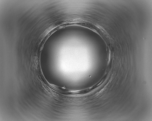 X0000059791457200510211104