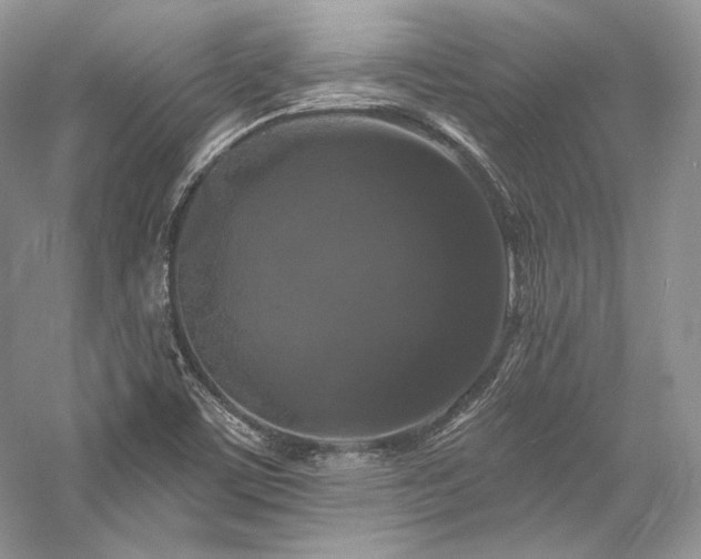 X0000059791459200510211104