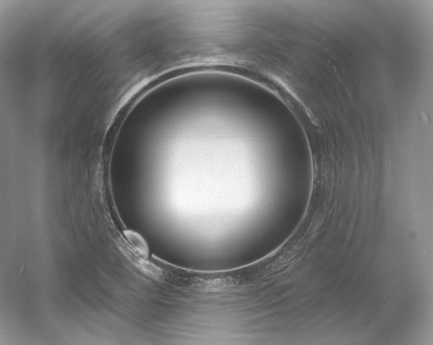X0000059791460200510211104