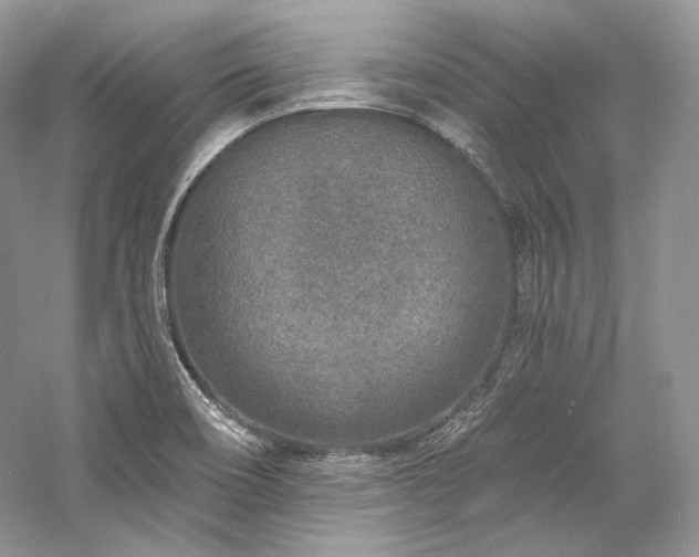 X0000059791466200510211104