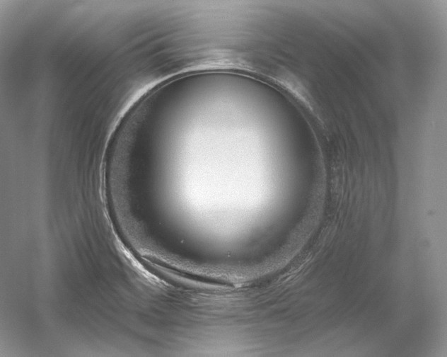 X0000059791468200510211104