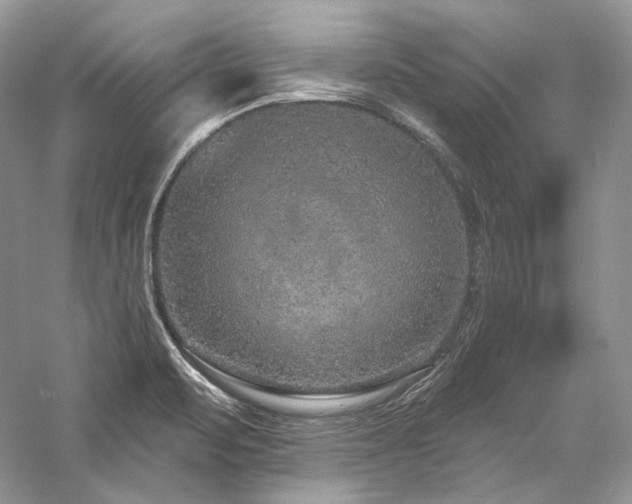 X0000059791471200510211104