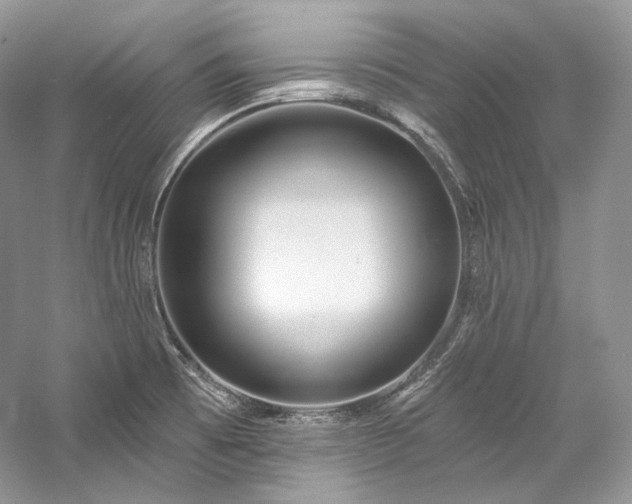 X0000059791473200510211104
