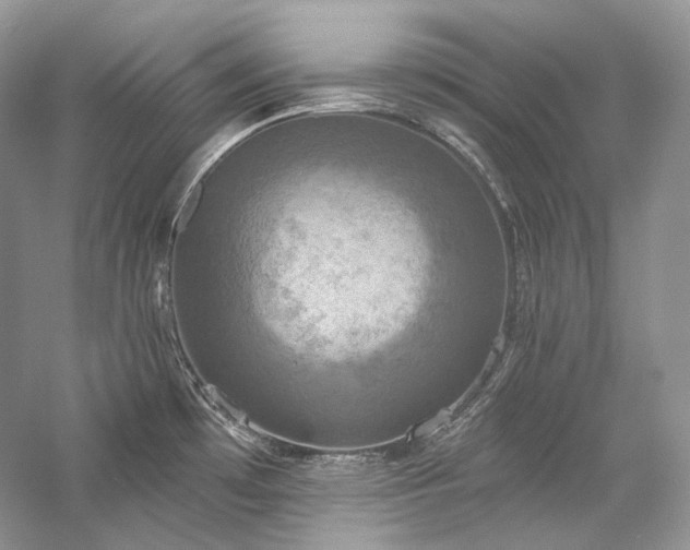 X0000059791481200510211104