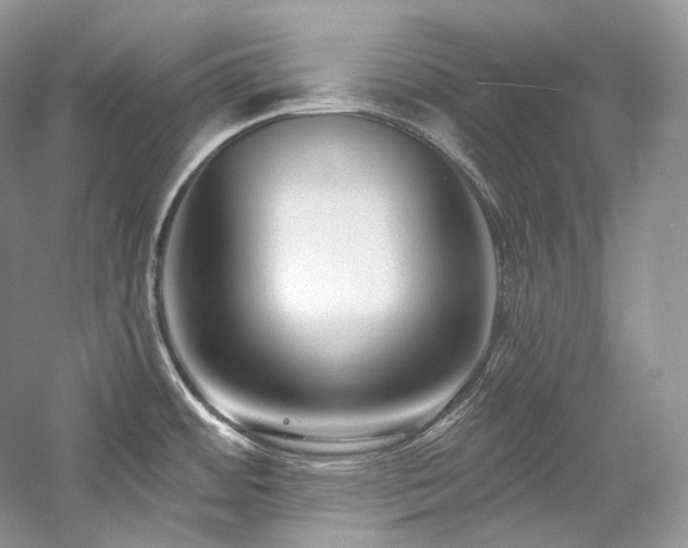 X0000059791484200510211104