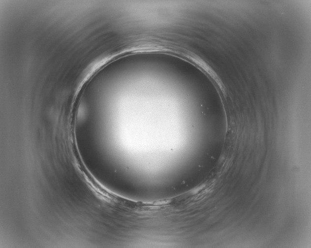 X0000059791485200510211104