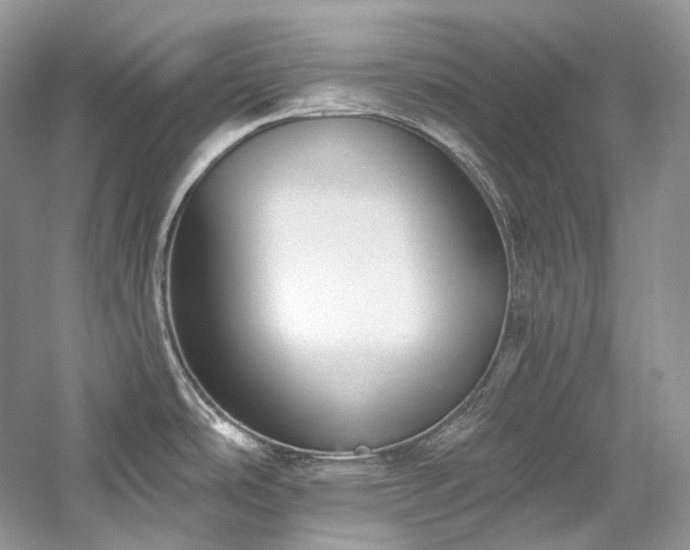 X0000059791486200510211104