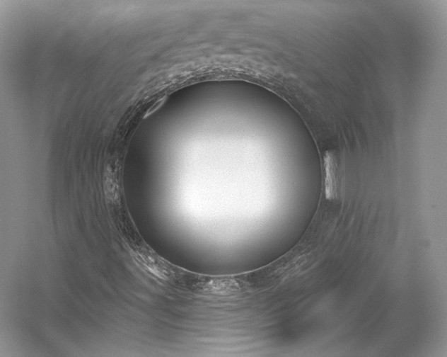 X0000059791491200510211103