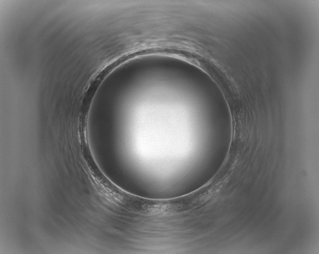 X0000059791497200510211103