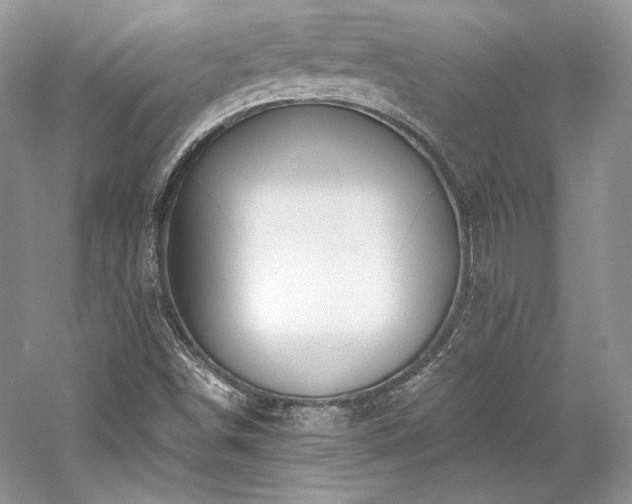 X0000059791498200510211103