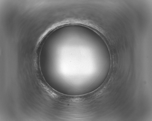 X0000059791502200510211103