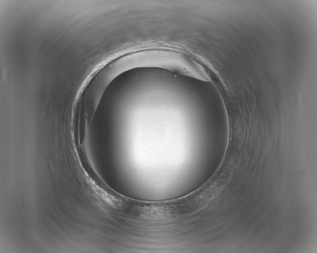 X0000059791508200510211103