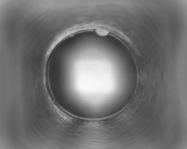 X0000059791512200510211103