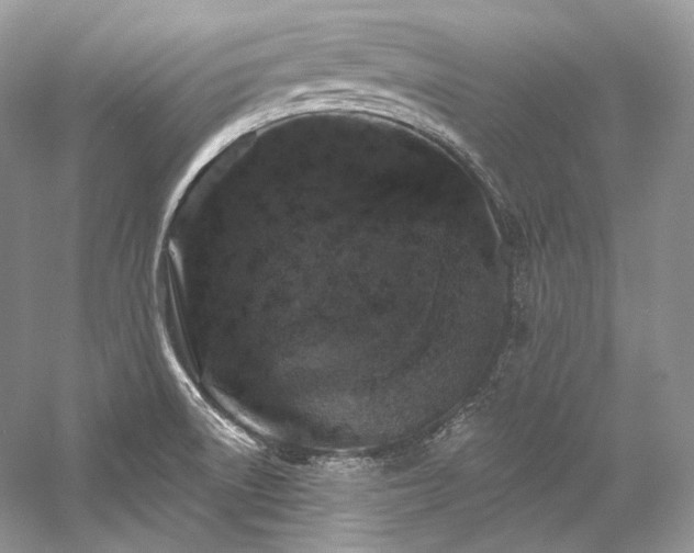 X0000059791522200510211104