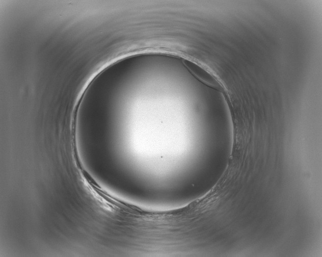 X0000059791532200510211104